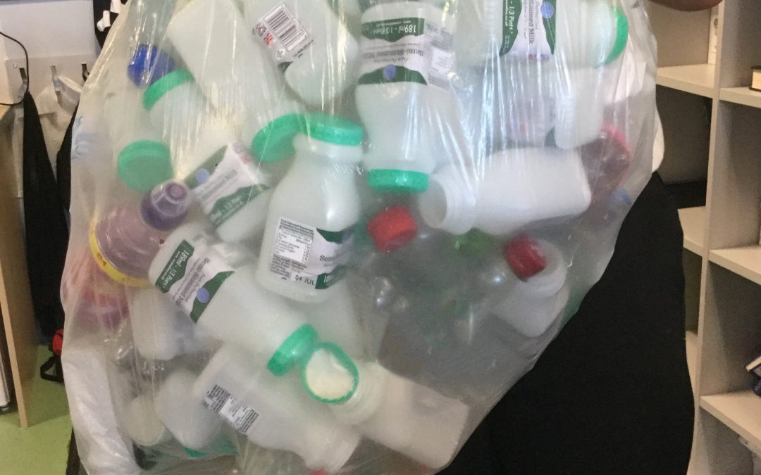 Successful Recycling