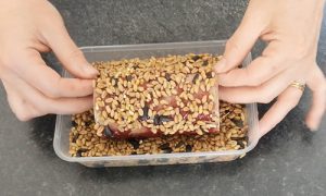 Make your own bird feeder with Paula