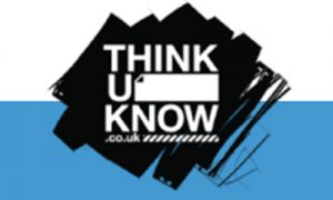 Thinkuknow: Online safety at home