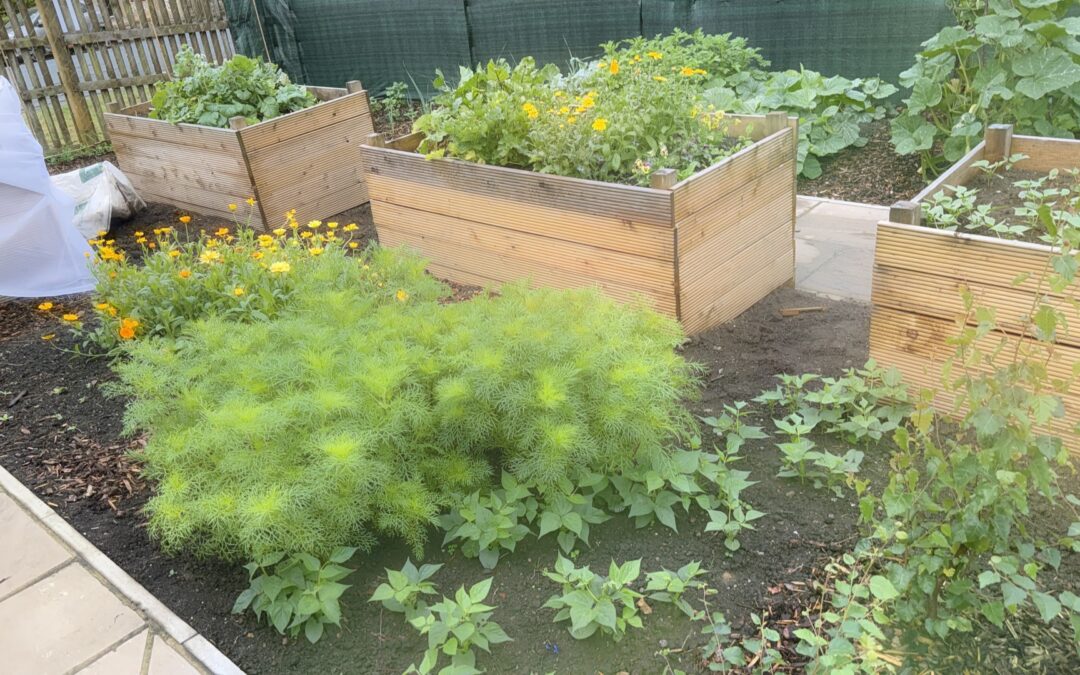 How does your garden grow?
