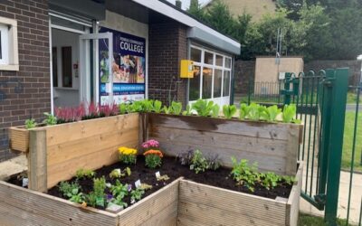 Vocational Education Center Growing Planters